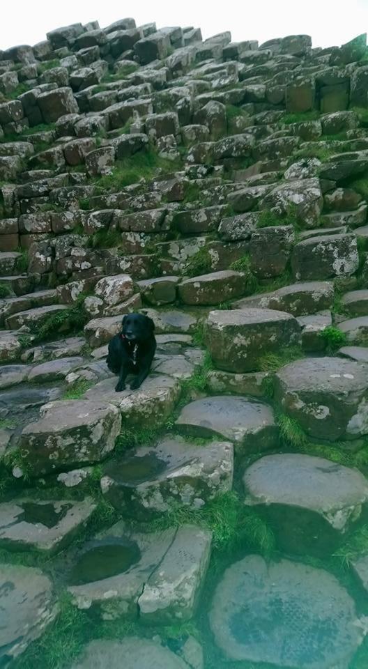 Dunseverick Ramblers Rest Bushmills Εξωτερικό φωτογραφία